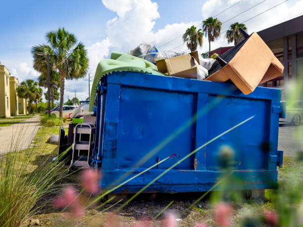 Best Demolition Debris Removal  in Maple Plain, MN